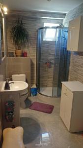 a bathroom with a shower and a toilet and a sink at Pokoje Gościnne JAK W DOMU Hanna Kucharska in Sztutowo