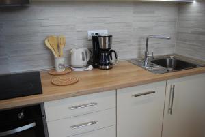 Kuhinja ili čajna kuhinja u objektu Apartman Oblačak Divčibare
