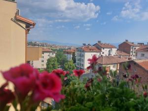 Táj az apartman közelében