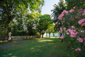 Zahrada ubytování Domus Stella Maris - Casa per Ferie