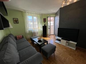 Telewizja i/lub zestaw kina domowego w obiekcie Apartament Renata