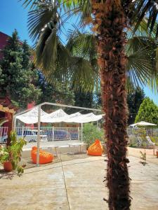 Zahrada ubytování Copacabana Hotel