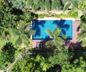 an overhead view of a swimming pool with palm trees at Symphony Villa in Nai Harn Beach