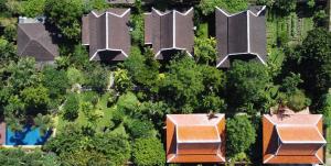 an overhead view of houses in the trees at Symphony Villa in Nai Harn Beach