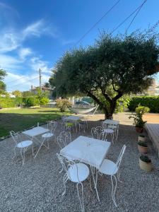 a group of tables and chairs under a tree at Motel Esterel in Mandelieu-La Napoule