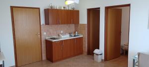 Kuchyň nebo kuchyňský kout v ubytování Apartments Vesna + 37 fotografií