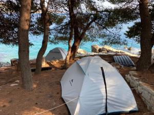 Lanskap alam di dekat tenda glamping