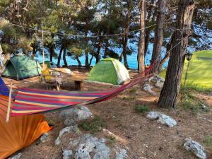 Afbeelding uit fotogalerij van Pine Side Camp in Himare