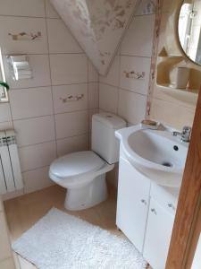 a bathroom with a toilet and a sink at Domek u Zosi in Gliczarów
