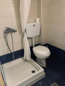a small bathroom with a toilet and a shower at Hotel Eleana in Agios Ioannis Pelio