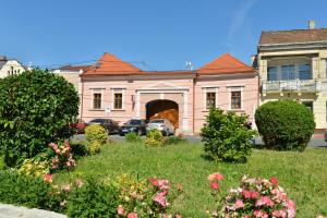 une maison rose avec une cour fleurie dans l'établissement Magic Five - Cazare Reghin ***, à Reghin