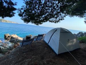 Lanskap alam di dekat tenda glamping