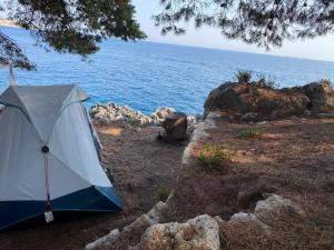 Lanskap alam di dekat tenda glamping