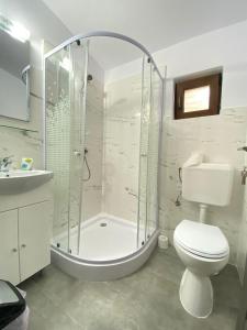 a bathroom with a shower and a toilet and a sink at Fishing Trip Divici in Divici