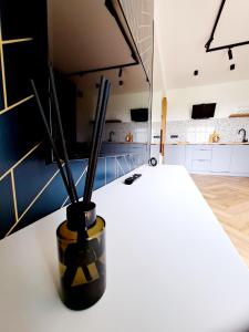 Kuchyňa alebo kuchynka v ubytovaní Apartament Północne Mazury