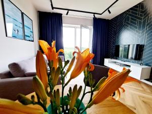 Televízia a/alebo spoločenská miestnosť v ubytovaní Apartament Północne Mazury