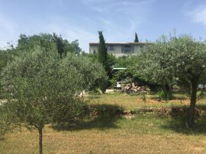 a house in the background with trees in the foreground at Le Mas du Sud in Draguignan