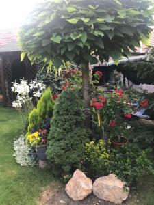 Zahrada ubytování Villa Nirvana