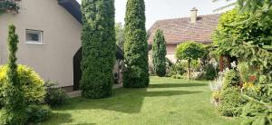 Zahrada ubytování Villa Nirvana