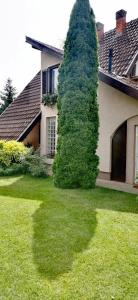 Zahrada ubytování Villa Nirvana
