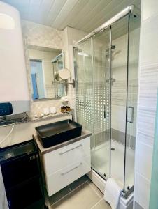 ein Bad mit einem Waschbecken und einer Dusche in der Unterkunft Vanadium house 2 in Tolmin