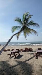 eine Palme am Strand mit Picknicktischen und Stühlen in der Unterkunft Zakua Beach in Guachaca