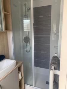 a shower with a glass door in a bathroom at Feorag Lodge in Aviemore +14 photos