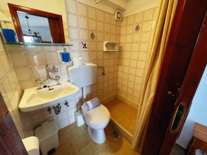 a small bathroom with a toilet and a sink at Pansion Giannis Perris in Kokkari