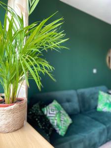 Posezení v ubytování Apartamenty Termalne GREEN Apartment