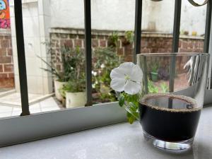 un vaso con una flor en él sentado en un alféizar de la ventana en Barra Porto - Suítes & Kitnets en Salvador
