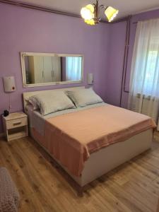 1 dormitorio con 1 cama grande y espejo grande en Apartman Darko en Solin
