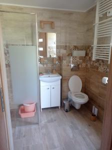 a bathroom with a toilet and a sink and a shower at Zielona Chatka pod Srebrnym Żurawiem in Wydminy