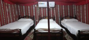 Tempat tidur dalam kamar di Royal Tours Permanent Camp