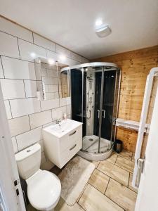 een badkamer met een douche, een toilet en een wastafel bij chalet des Illes SAINT MARTIN IIII in Prat-et-Bonrepaux