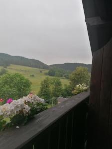 un balcón con flores y vistas a un campo en Penzion Henke, en Srbská Kamenice