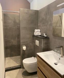 een badkamer met een toilet, een wastafel en een douche bij B&B Aasterbergerhoeve in Echt