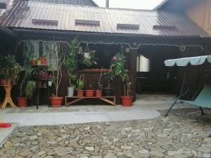 Billede fra billedgalleriet på Casa Agroturistică Teodora i Mănăstirea Humorului