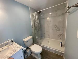 Un baño con inodoro, ducha y lavabo. en New decorated Guest Suite unit C close to Katy Mills, en Katy 25 fotos más