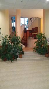 Zona de hol sau recepție la Pancho Family Hotel
