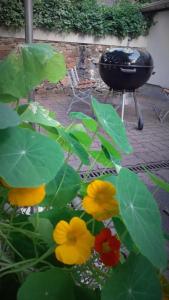 a bbq grill and flowers in front of a grill at Hotel Zur Sonne in Falkenstein