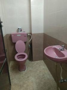 a bathroom with a pink toilet and a sink at Simhagiri Holiday Inn in Visakhapatnam
