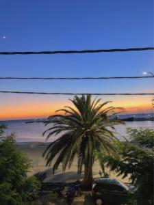 una palmera y una moto estacionada en una playa en KIRKOS “PORTO” en Samotracia