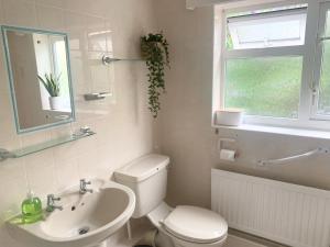 a bathroom with a toilet and a sink and a window at Penderels, Willersey in Broadway