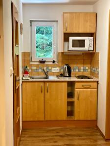 Kuchyň nebo kuchyňský kout v ubytování Alba Apartmany Železná Ruda