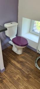 a bathroom with a toilet with a purple lid at Bienvenue aux Lavandières. in Montrollet