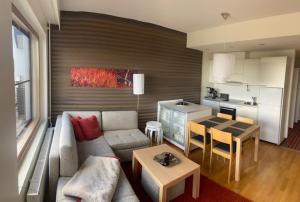 Кухня или мини-кухня в Ylläs Chalets IX A9104
