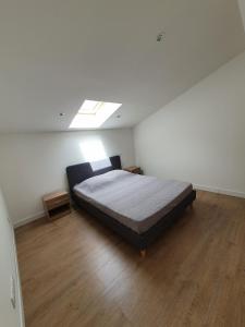 a bedroom with a bed and a skylight at Casa di lise e bastien in San-Nicolao