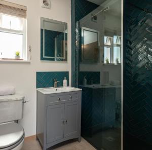 een badkamer met een toilet, een wastafel en een douche bij Furlong Cottage @ Higher Stancombe Farm in Kingsbridge