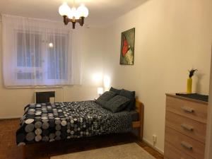 um quarto com uma cama, uma cómoda e uma janela em Karman Apartman - 2 bedroom entire flat in the center em Jászberény