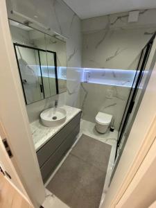 a bathroom with a sink and a toilet at Birutės parko apartamentai in Palanga